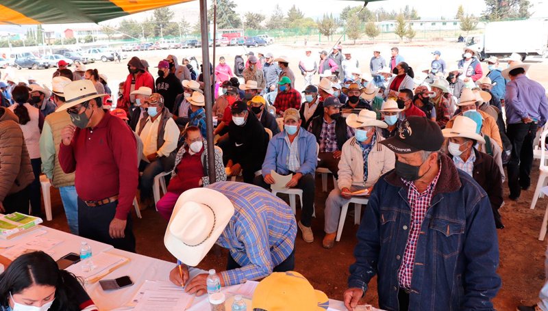 Productores chignahuapenses reciben más de 48 toneladas en fertilizante Productores chignahuapenses reciben más de 48 toneladas en fertilizante