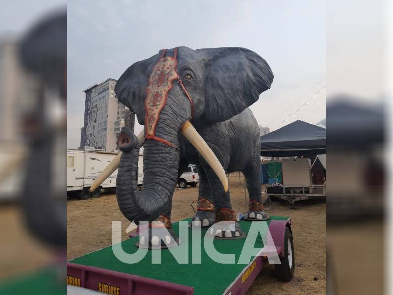 Circo Fantasy Show: un éxito en su fin de semana de debut