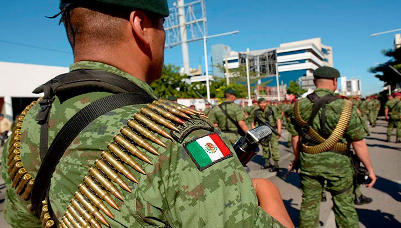 Guacamaya: ¿opacidad o transparencia? Guacamaya: ¿opacidad o transparencia?
