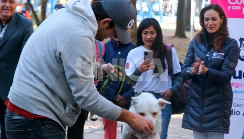 Atiende Gobierno Municipal más de 230 denuncias por maltrato animal