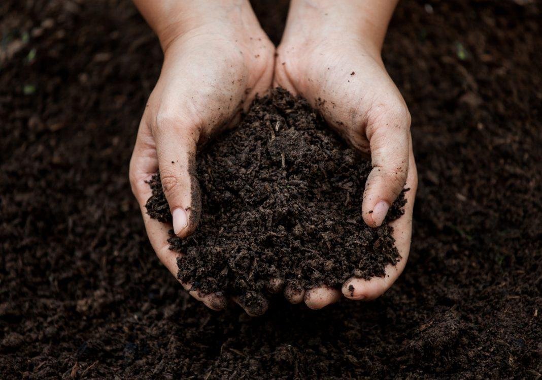 El atrayente olor de tierra mojada