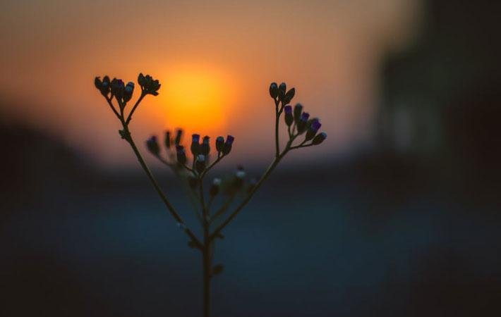 Rebelde sol Rebelde sol