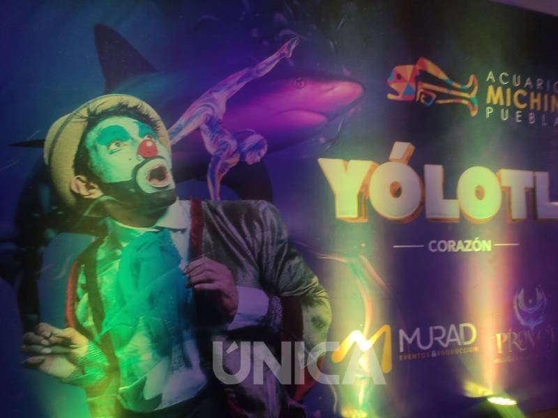 Yólotl Acuario Michin