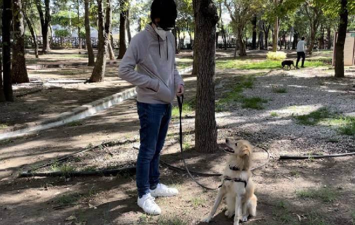 adiestramiento canino