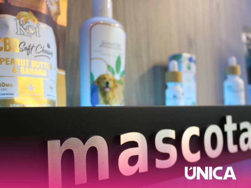 Bhaang CDB Store Puebla