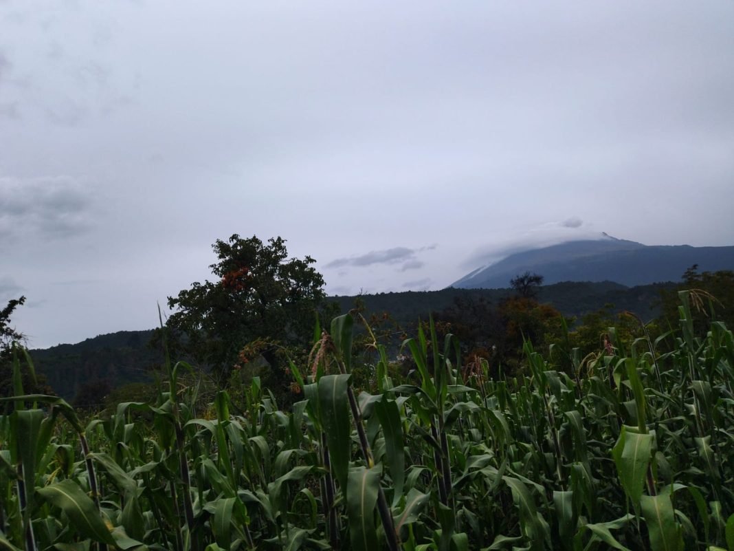 Impulsa BUAP creación de cadenas de valor con Expo Hortícola 2023