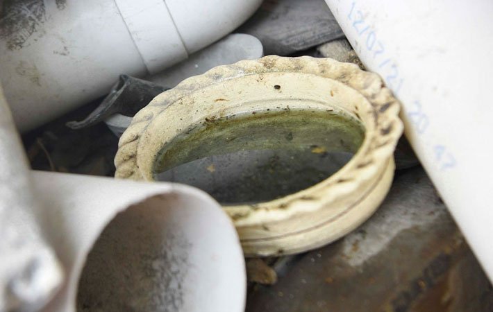 Registra Puebla ocho nuevos hospitalizados por dengue