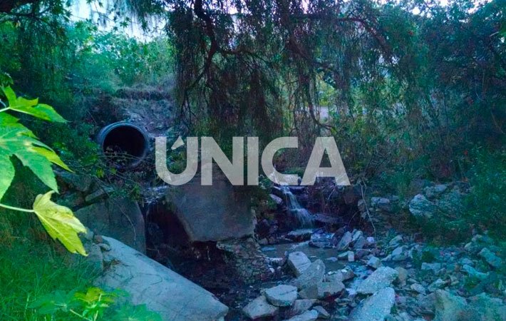 Presenta cuenca del Alto Atoyac contaminación por metales y causa enfermedades renales y leucemia: Conahcyt