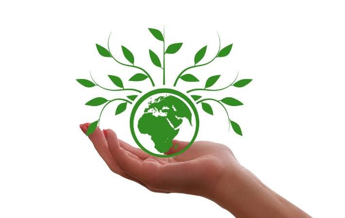 Acciones locales que marcan la diferencia contra el cambio climático