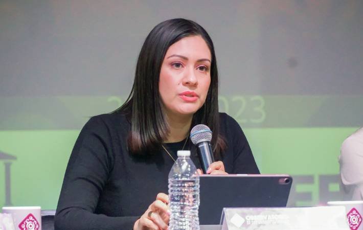 Debe acatarse, en lo local, determinación del INE sobre el Registro Nacional de violentadores Debe acatarse, en lo local, determinación del INE sobre el Registro Nacional de violentadores