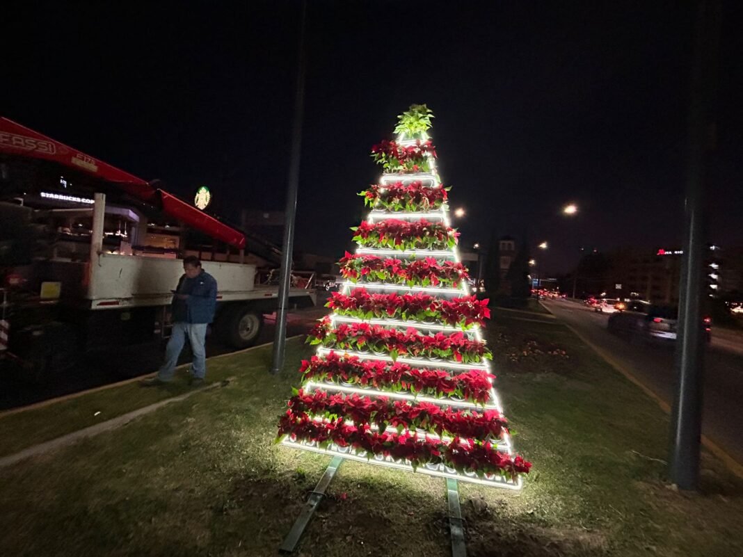 Adornan en Puebla capital un bulevar con un árbol de Navidad de Noche Buenas Adornan en Puebla capital un bulevar con un árbol de Navidad de Noche Buenas