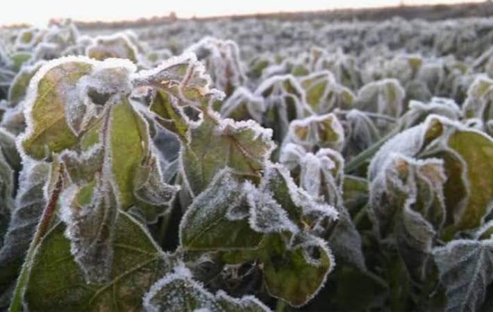 Registra Puebla bajas temperaturas y en 22 municipios se registra la presencia de escarcha