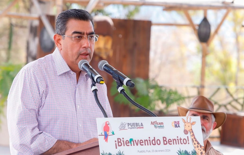 Gobierno de Puebla da la bienvenida a la jirafa Benito
