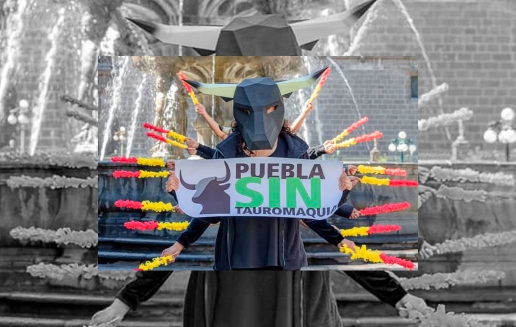 Gana Movimiento Animalista recursos contra las corridas de toros en Puebla