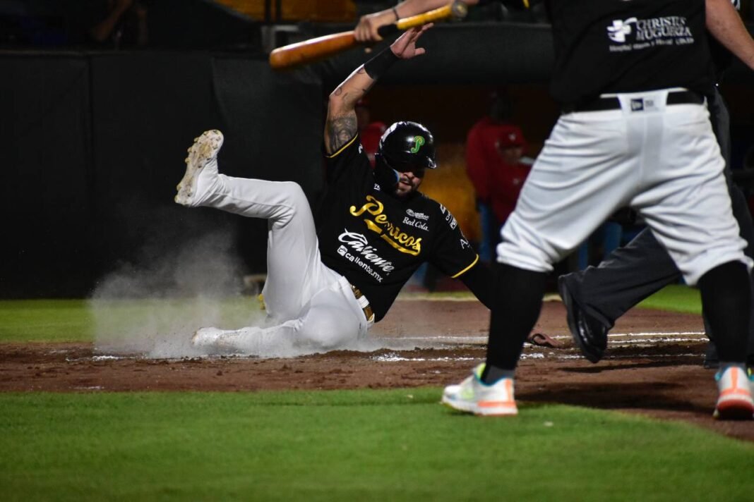 Pericos de Puebla asegura la serie al vencer a Veracruz Pericos de Puebla asegura la serie al vencer a Veracruz