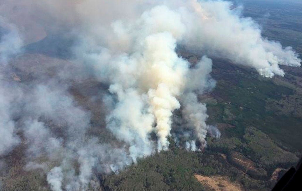 Registra Puebla incendios forestales en Sierra Mixteca y región de Libres