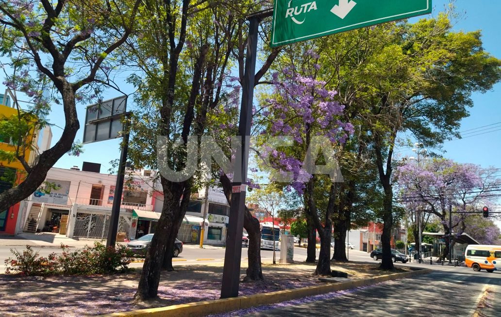 Zona metropolitana de Puebla, con calidad regular de aire
