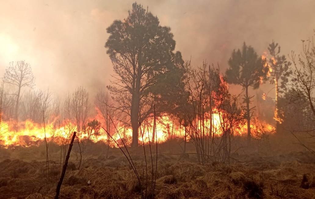 Suma Puebla 246 incendios forestales en 2024
