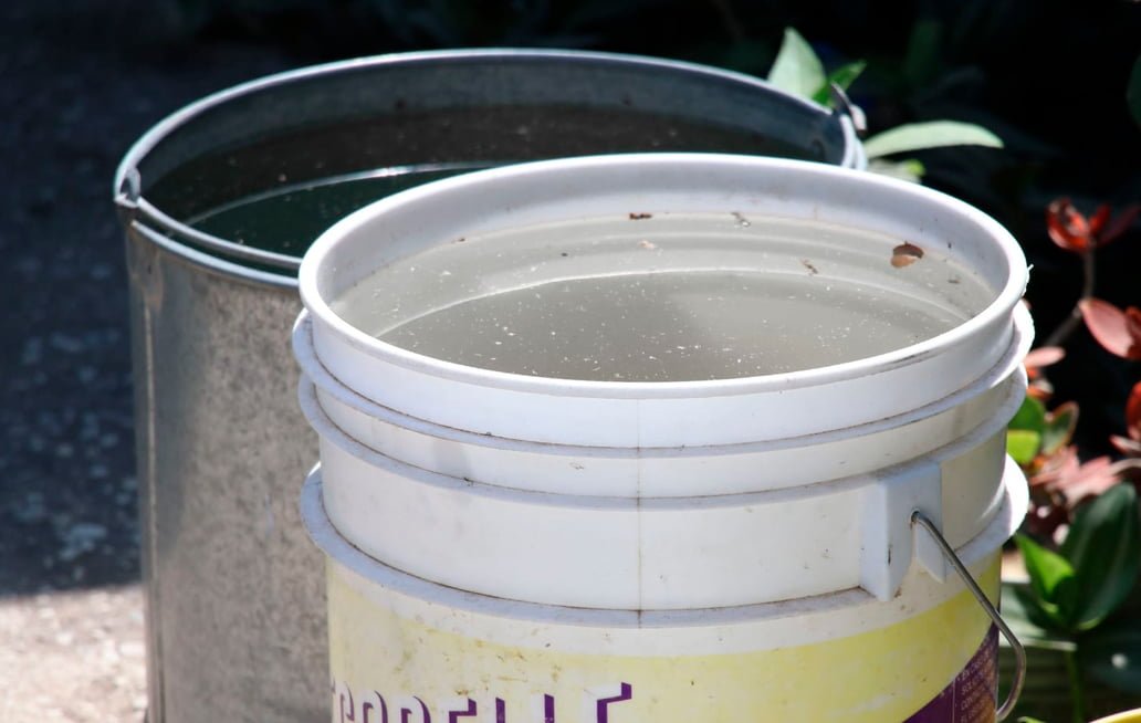 Puebla, con 23 personas hospitalizadas por dengue: Salud Puebla, con 23 personas hospitalizadas por dengue: Salud