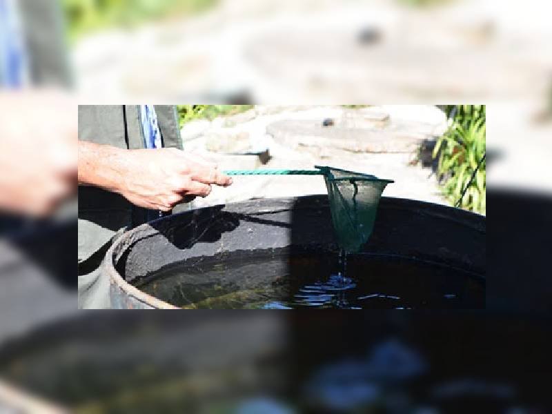 tanques de agua