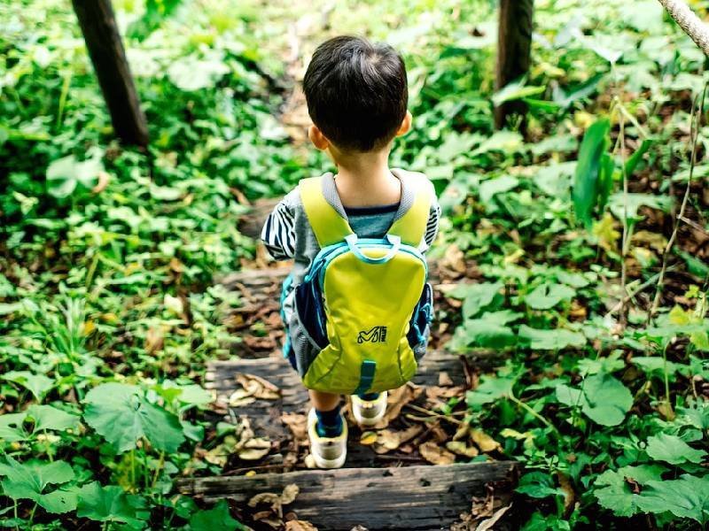 mochilas ergonomicas