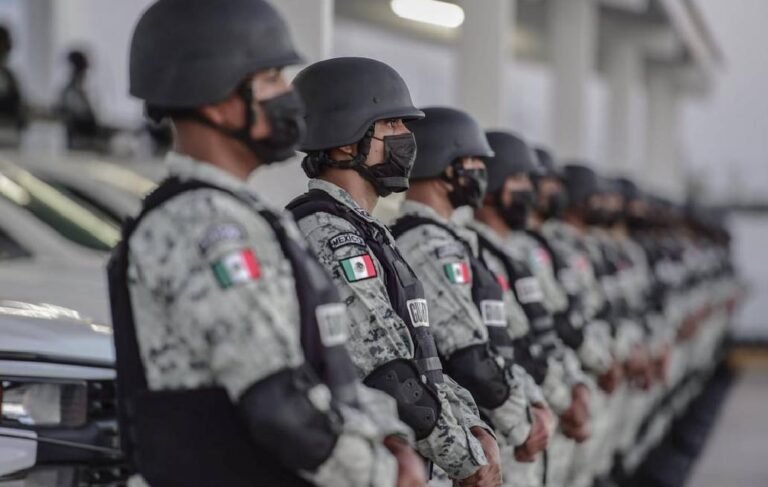 Fuerzas de seguridad brindan atención inmediata tras agresión a autobús sobre la autopista Puebla-Orizaba