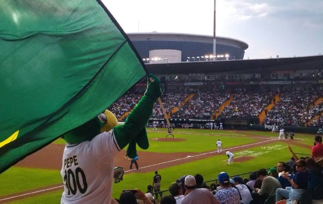 pericos beisbol