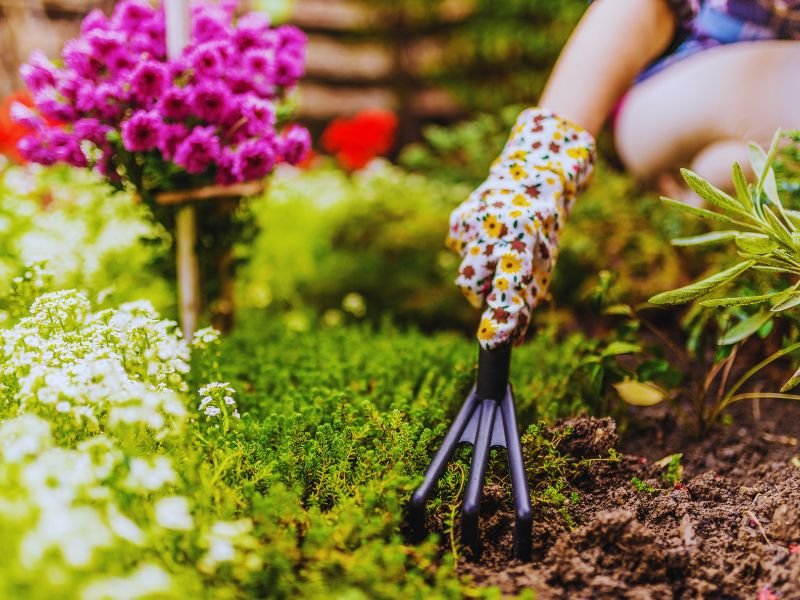 jardineria