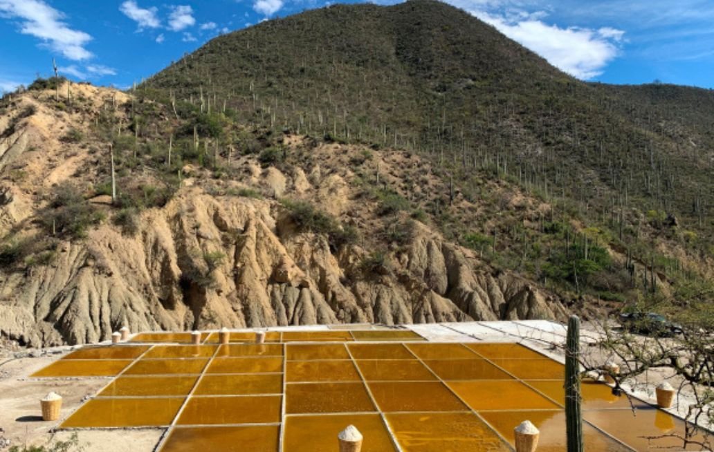 Zapotitlan Salinas quiere industrializar la sal que tiene tanta riqueza como la del Himalaya, proponen crear la ruta de la sal