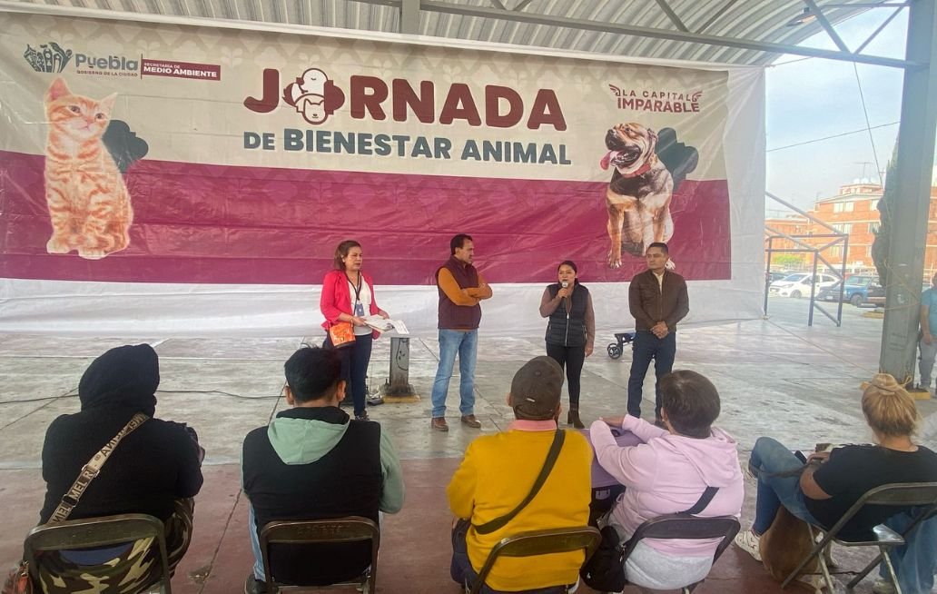 Gobierno de la Ciudad realizó con éxito jornadas de protección animal en diferentes puntos