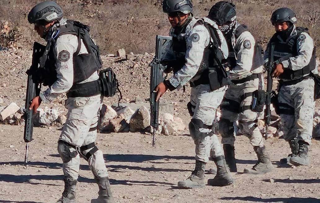 Decomisan más de 1.4 toneladas de drogas en diferentes operativos en el país Decomisan más de 1.4 toneladas de drogas en diferentes operativos en el país