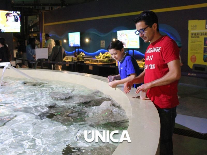 ACUARIO MICHIN PUEBLA