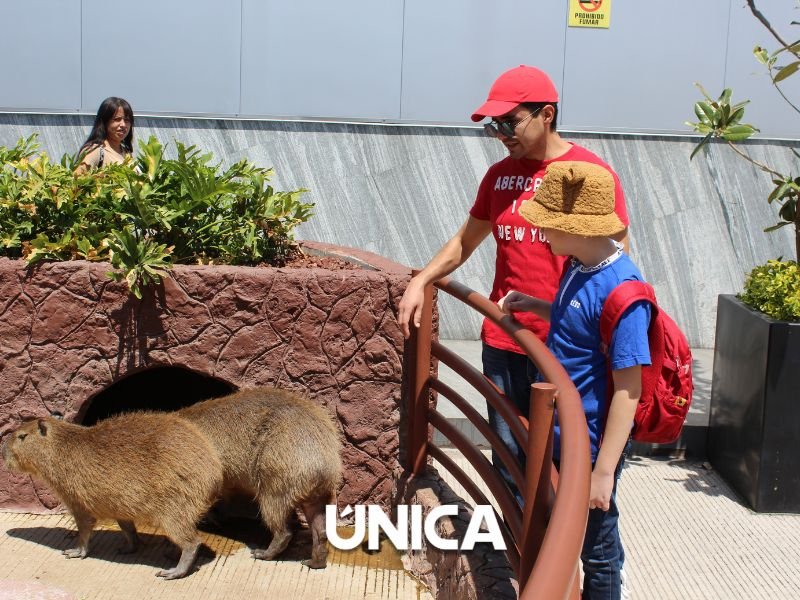 ACUARIO MICHIN PUEBLA