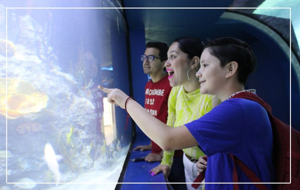 ACUARIO MICHIN PUEBLA SEMANA SANTA