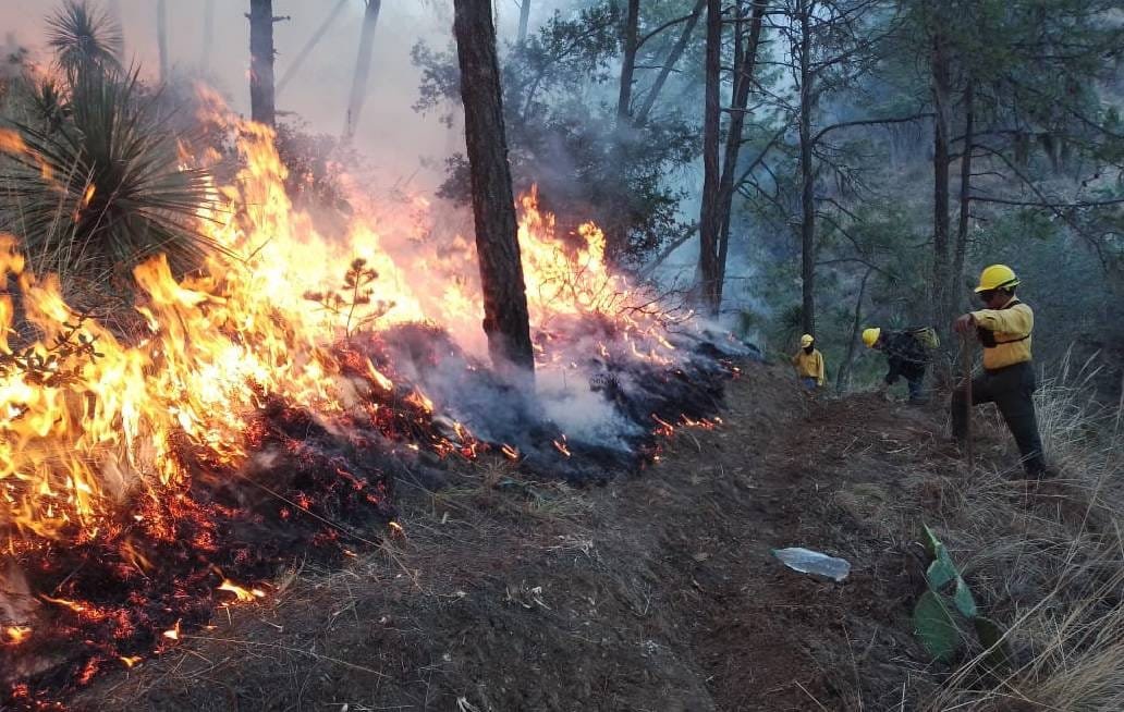 Brigadistas atienden incendio en el Citlaltépetl