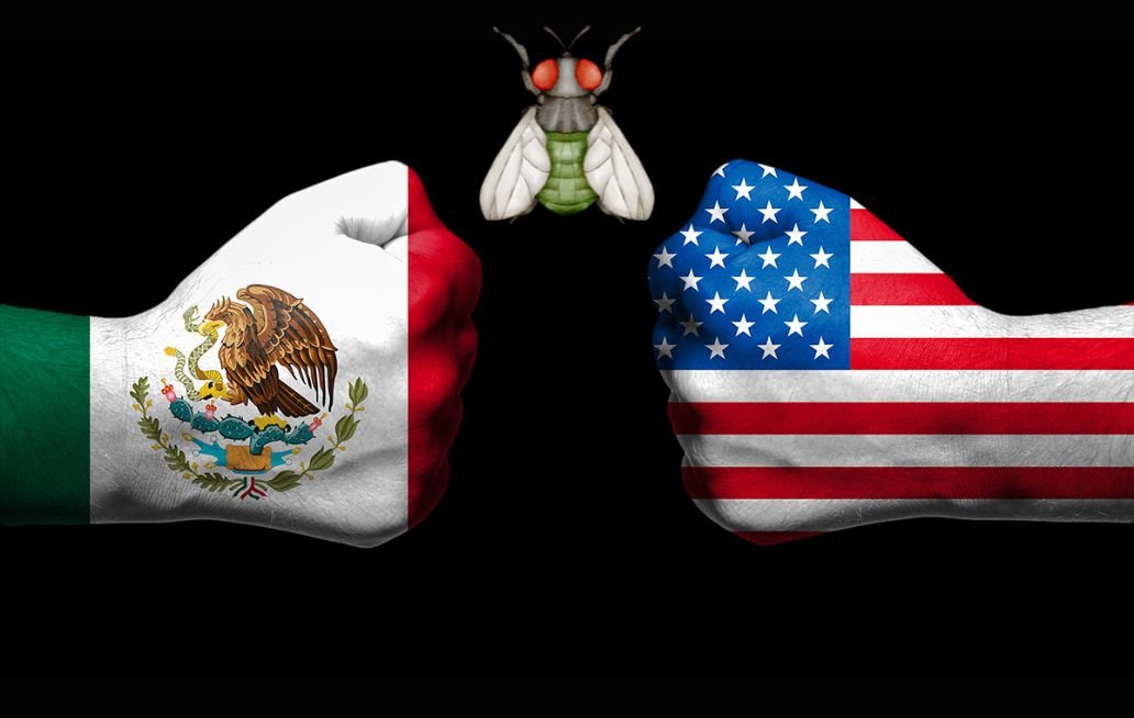 El Gusano Barrenador