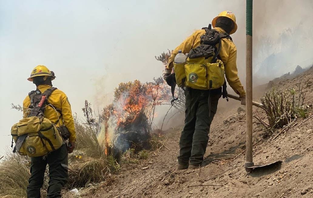 Reporta gobernador de Puebla que incendios en zona de Libres están controlados al 80%
