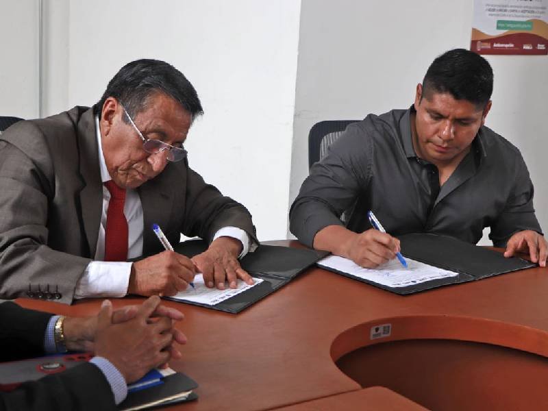 siguiendo el ejemplo