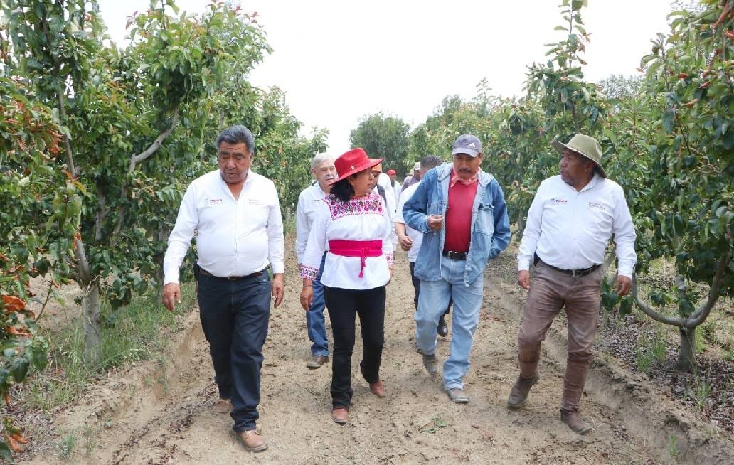 Puebla impulsa la producción en parcelas frutícolas en la zona del Izta-Popo