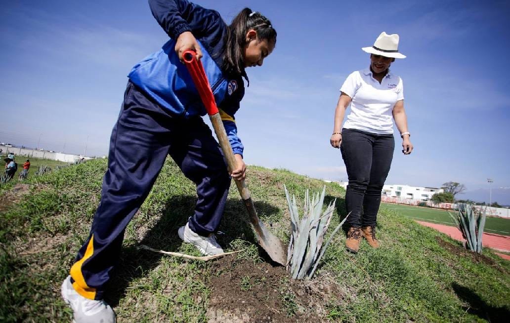 Encabeza presidenta de San Andrés Cholula la jornada de reforestación