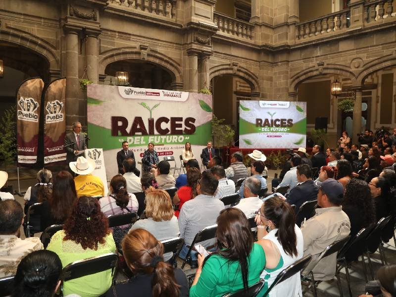 las etapas del programa