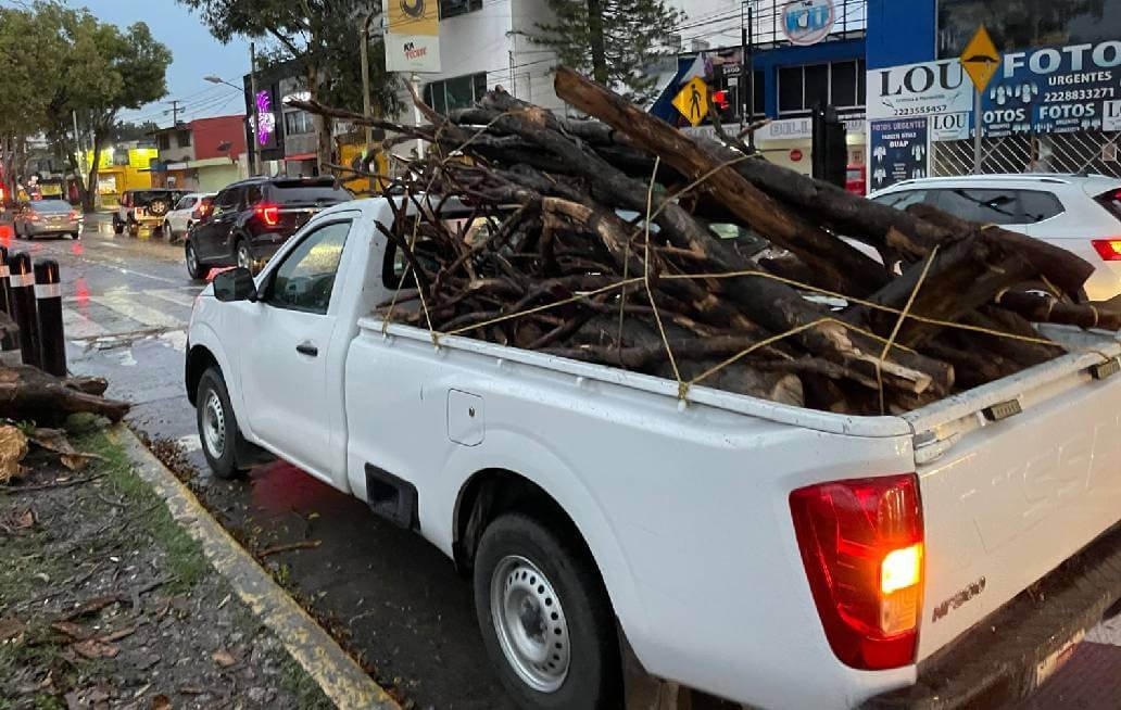 Atiende Protección Civil de Puebla caída de árbol frente a Ciudad Universitaria Atiende Protección Civil de Puebla caída de árbol frente a Ciudad Universitaria