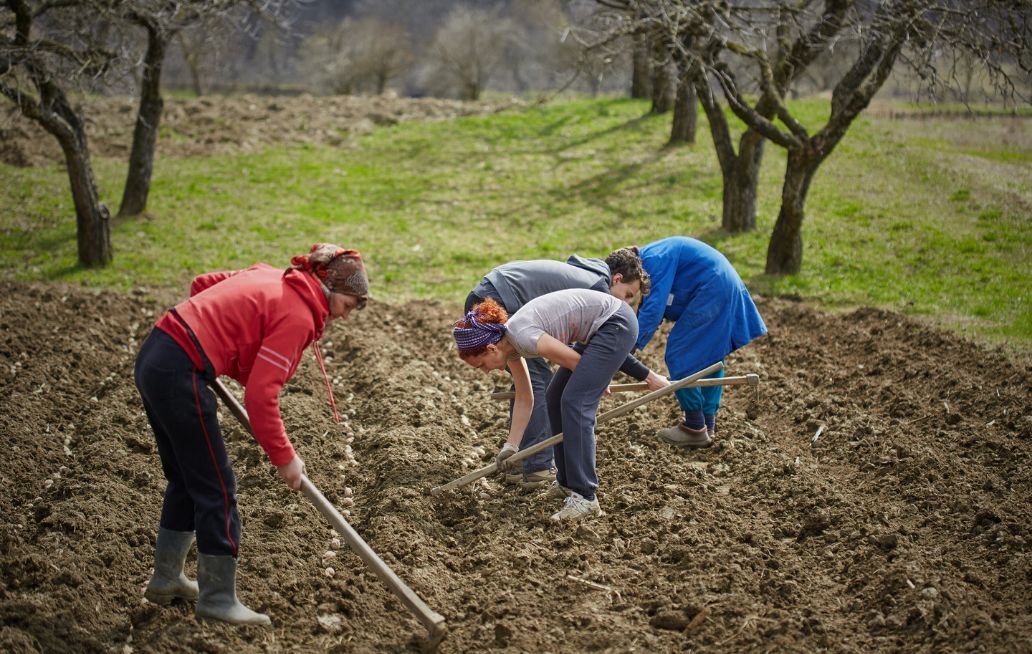 El campo que alimenta y transforma: una mirada al agro mexicano desde sus mujeres y emprendedores