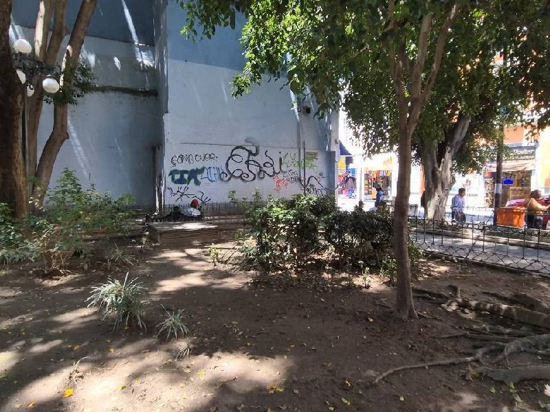 explico que en este proyecto