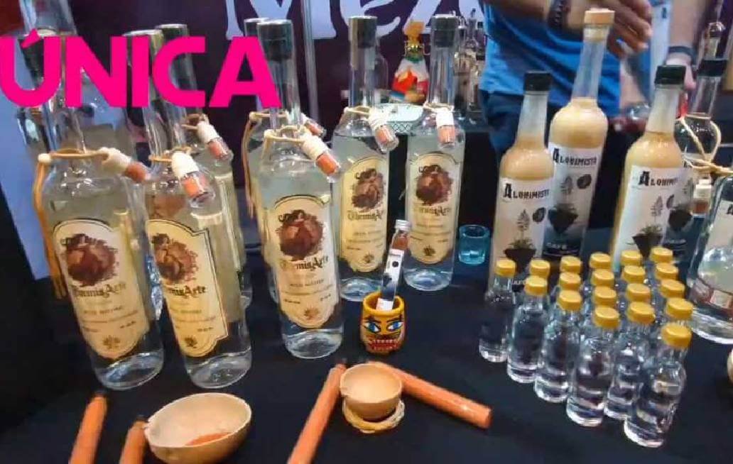 Puebla vive el sexenio del mezcal y del maguey: Armenta