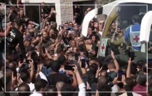 presos palestinos