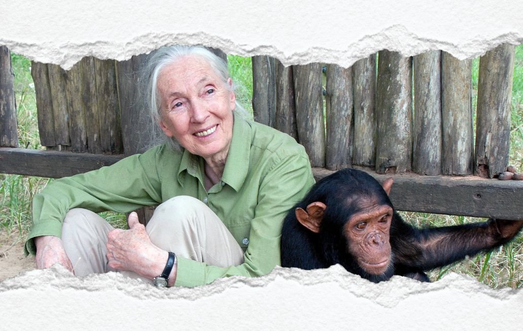 Jane Goodall: así fue su última entrevista