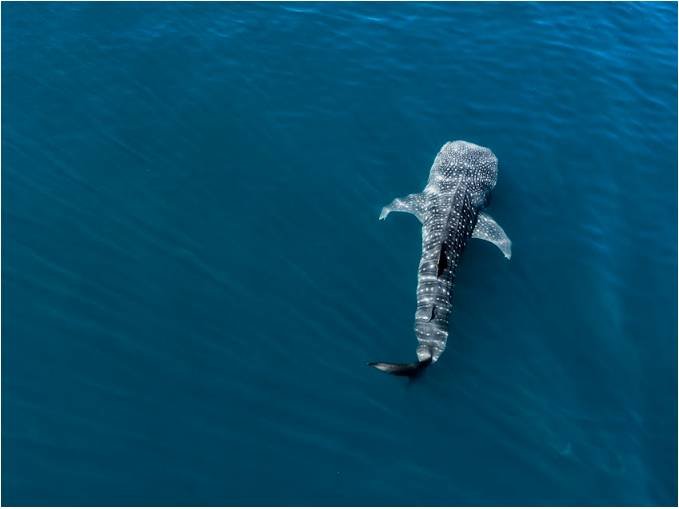 que hacer en la paz baja california