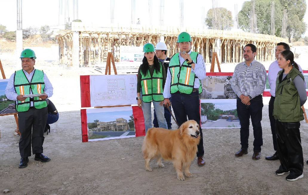 Avanza construcción de Centro de Bienestar Animal; dignificará atención de seres sintientes