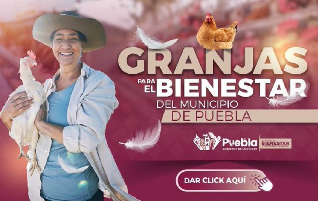 Para el próximo año Bienestar Municipal reforzará el programa productivo de «Granjas»